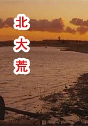 公与妇仑乱免费看